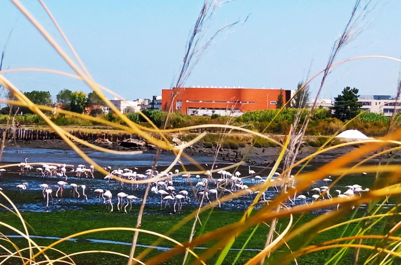 Aveiro, Ria E Arte Διαμέρισμα Εξωτερικό φωτογραφία
