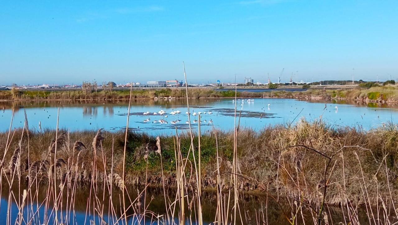 Aveiro, Ria E Arte Διαμέρισμα Εξωτερικό φωτογραφία